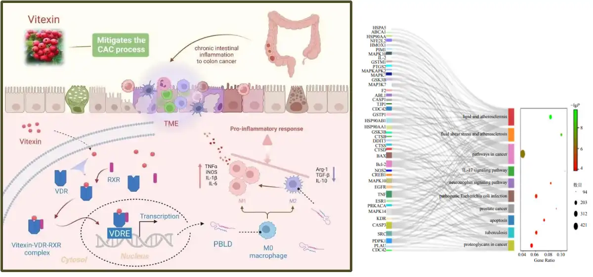 vitexin Powder.jpg vitexin Powder.jpg